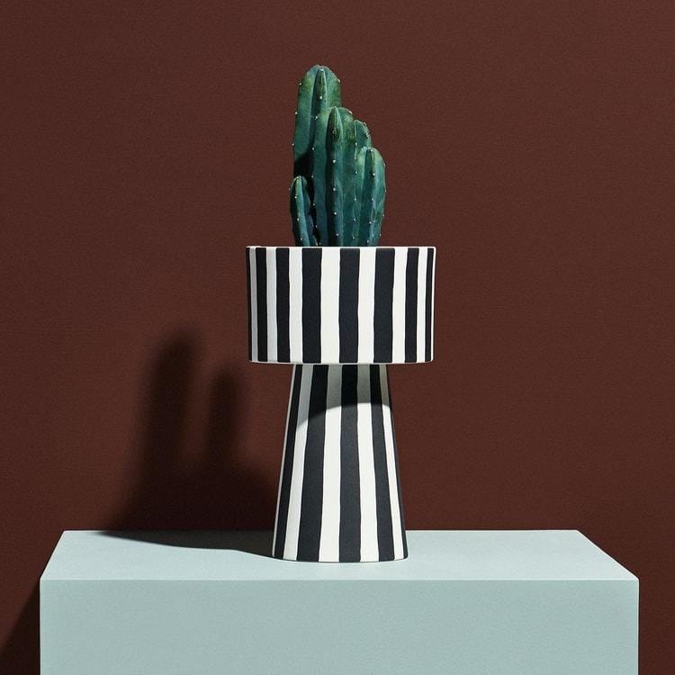 the toppu pot striped pictured with a cactus on a plinth with moody burgundy backdrop